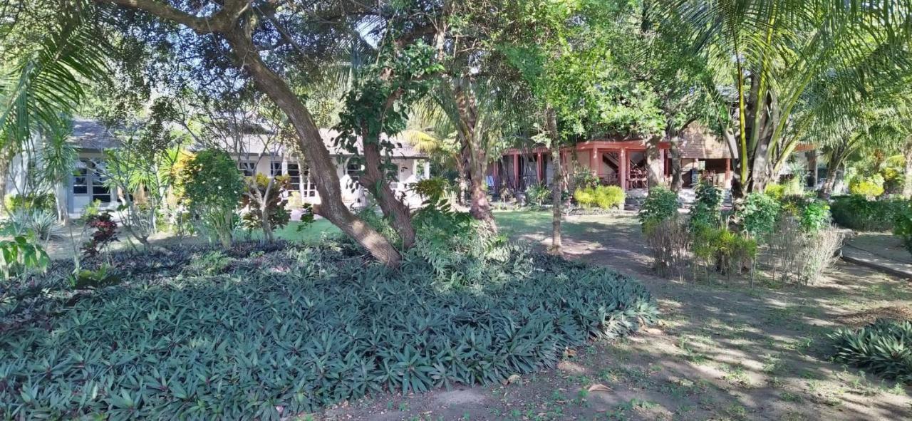 Maluk Supersuck Hotel מראה חיצוני תמונה